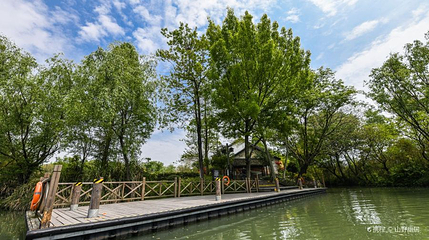西溪国家湿地公园-福堤第 1 张图片