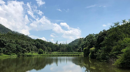 千岛湖第 1 张图片