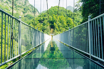 醉山野景区第 42 张图片
