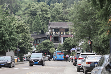梅家坞村第 8 张图片