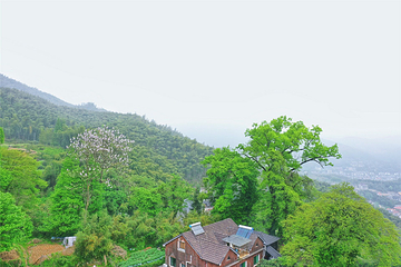 山沟沟景区第 17 张图片