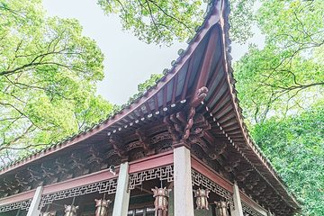 天一阁博物院第 154 张图片