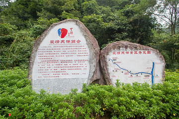 爱情天梯-同心桥第 18 张图片