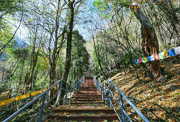 明永冰川第 15 张图片