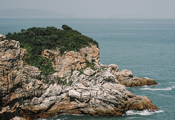杨梅坑第 30 张图片