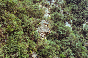 宝峰湖景区第 31 张图片