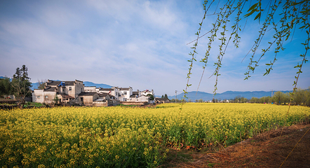 江岭景区第 49 张图片