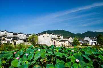 关麓古村景区第 13 张图片