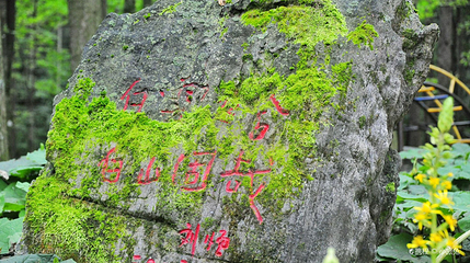 白云山森林氧吧游览区第 3 张图片