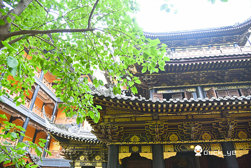 罗汉寺第 16 张图片