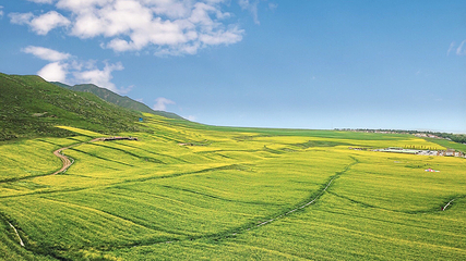扁都口生态休闲旅游区第 17 张图片
