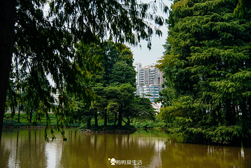 天河公园第 10 张图片