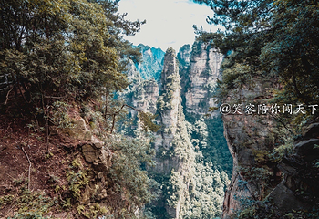 袁家界景区第 10 张图片