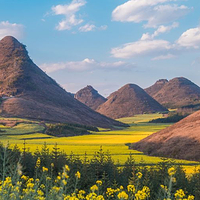 罗平油菜花景区