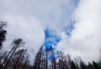 四姑娘山双桥沟景区第 170 张图片