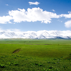 那拉提空中草原
