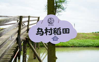 乌村第 58 张图片