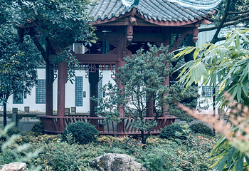 浣花溪公园第 14 张图片