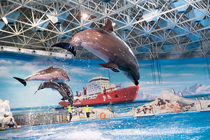 海合安青岛极地海洋公园