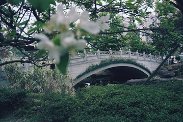 铁像寺水街第 15 张图片