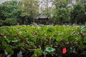 小莲庄第 58 张图片