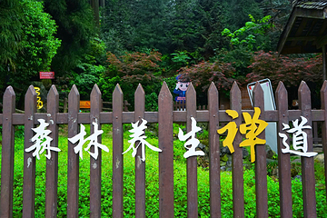 中国眉山七里坪旅游度假区第 14 张图片