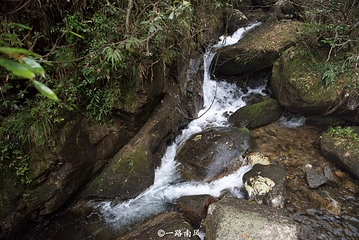 莽山旅游区国家森林公园第 63 张图片