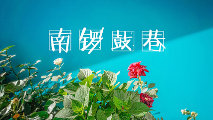 南锣鼓巷第 60 张图片
