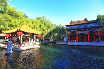趵突泉景区第 43 张图片