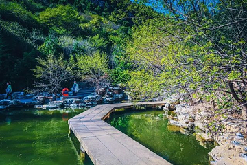 太山景区第 7 张图片