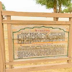 塔克拉玛干沙漠