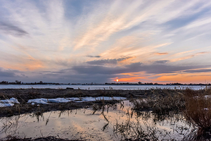 乌伦古湖国家湿地公园