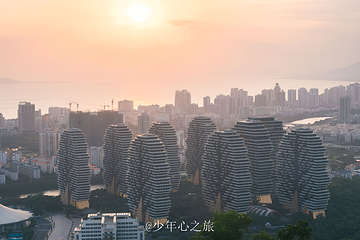 临春岭森林公园第 14 张图片