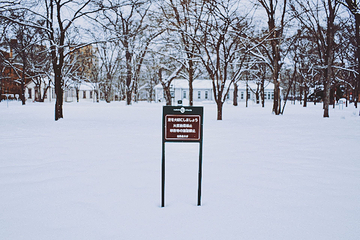 北海道大学第 29 张图片