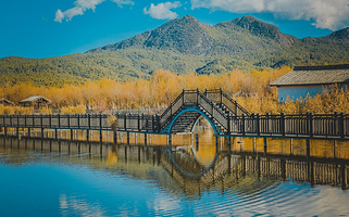 拉市海湿地公园