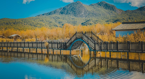 拉市海湿地公园