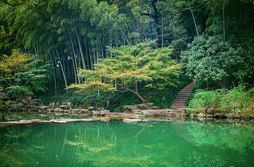 杭州植物园第 13 张图片