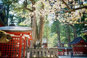 日光二荒山神社第 16 张图片