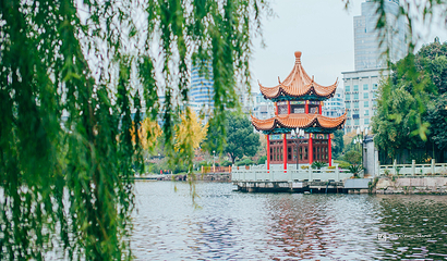 月湖公园第 30 张图片