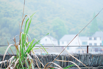 山沟沟景区第 26 张图片
