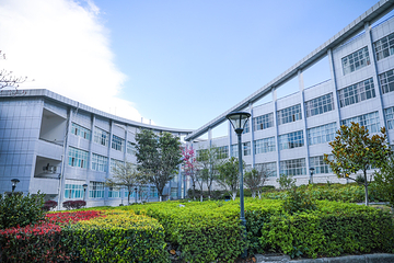 大理大学第 14 张图片