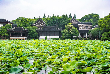 小莲庄第 30 张图片
