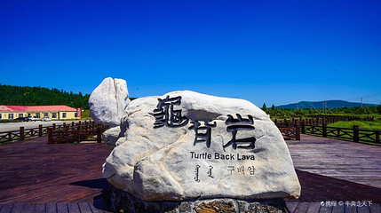 龟背岩第 1 张图片