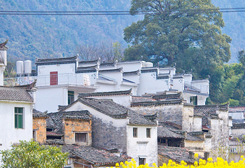 庆源古村第 18 张图片