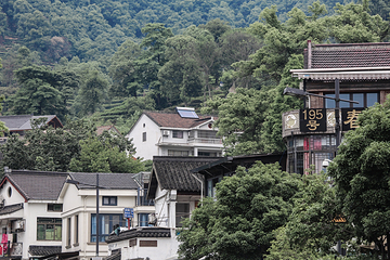 梅家坞村第 13 张图片