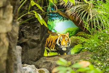 西安世博园自然馆第 5 张图片