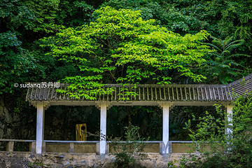 西狭颂景区第 7 张图片