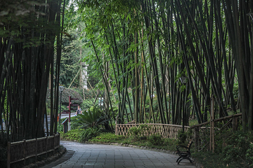 浣花溪公园第 31 张图片