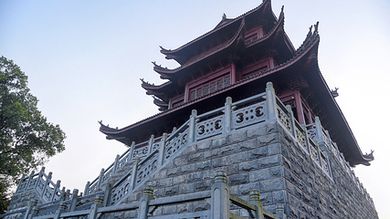 九龙国家湿地公园第 8 张图片