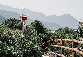 杨梅坑第 35 张图片
